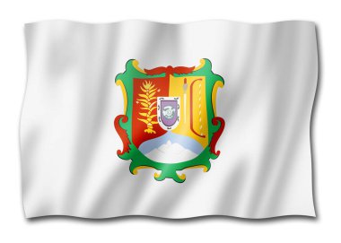 Nayarit eyalet bayrağı, Meksika 'da dalgalı pankart koleksiyonu. 3B illüstrasyon