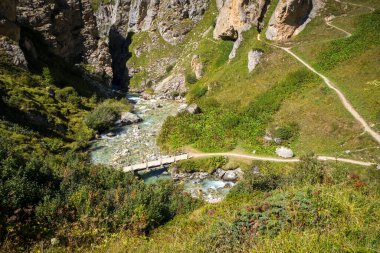 Vanoise Ulusal Parkı Alp Vadisi, Savoie, Fransız Alpleri 'ndeki dağ nehri ve ahşap köprü.
