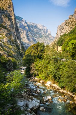 Picos de Europa Kanyonu, Asturias, İspanya 'da bakım yolu - ruta del Cares