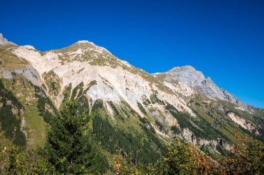 Pralognan la Vanoise 'deki dağ ve orman manzarası. Fransız Alpleri