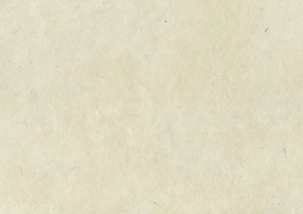 Натуральна Нефрольна Паперова Текстура Горизонтальні Фонові Шпалери — стокове фото
