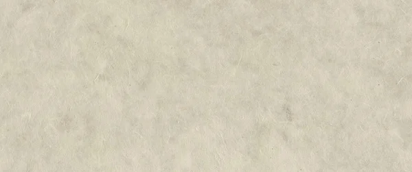 Натуральна Нефрольна Паперова Текстура Банер Фонові Шпалери — стокове фото