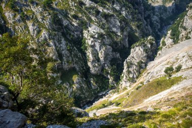 Picos de Europa Kanyonu, Asturias, İspanya 'da bakım yolu - ruta del Cares