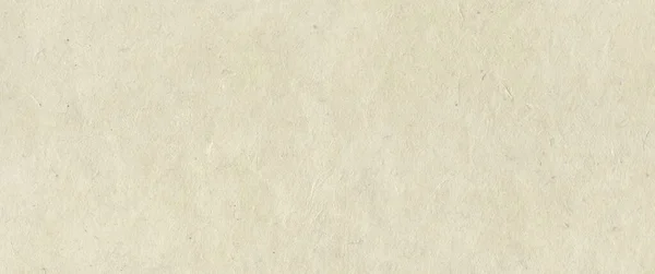 Натуральна Нефрольна Паперова Текстура Банер Фонові Шпалери — стокове фото