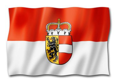 Salzburg Arazi Bayrağı, Avusturya 'da pankart koleksiyonu. 3B illüstrasyon