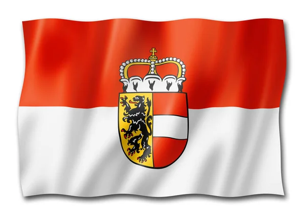 萨尔茨堡州旗 奥地利挥动国旗收藏 3D插图 — 图库照片