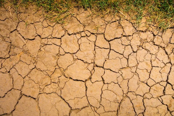 Dry mud background texture. Closeup view. Global warming symbol