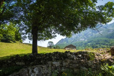 Bulnes köyü, Picos de Europa, Asturias, İspanya çevresindeki dağ manzarası ve koyun ağılları