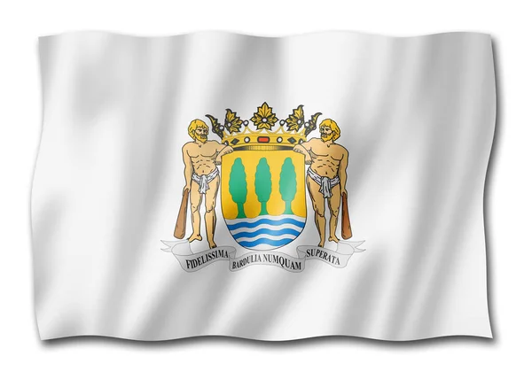 Bandeira Província Guipuzcoa Espanha Acenando Coleção Banners Ilustração — Fotografia de Stock