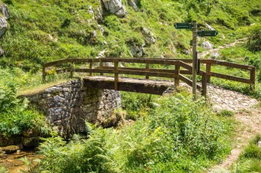 İspanya, Asturias, Picos de Europa 'daki Bulnes köyü yakınlarındaki eski ahşap köprü.