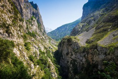İspanya, Asturias, Picos de Europa 'daki Bulnes köyü çevresindeki dağ manzarası