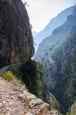 Picos de Europa Kanyonu, Asturias, İspanya 'da bakım yolu - ruta del Cares