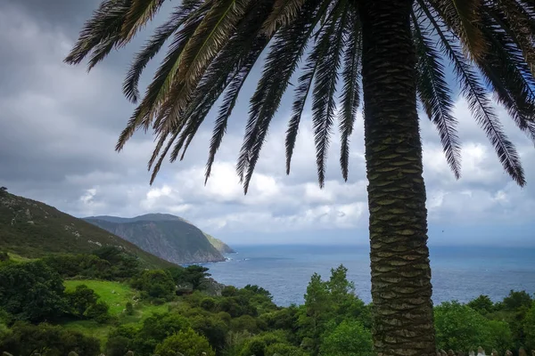 Palme Meer Und Klippen Von San Andres Teixido Galicien Spanien — Stockfoto