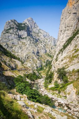 Picos de Europa Kanyonu, Asturias, İspanya 'da bakım yolu - ruta del Cares