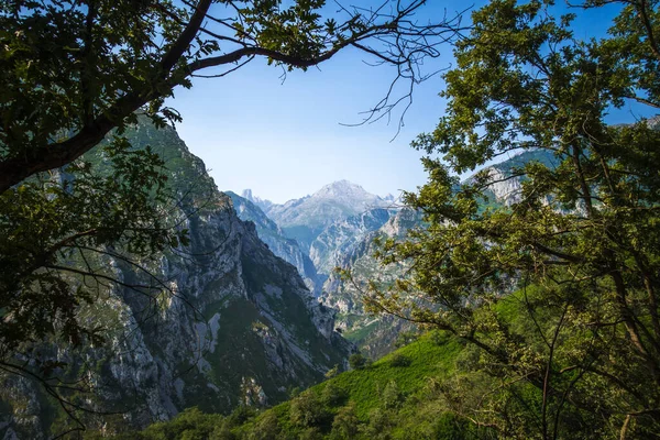 stock image Mountain landscape around Bulnes village in Picos de Europa, Asturias, Spain