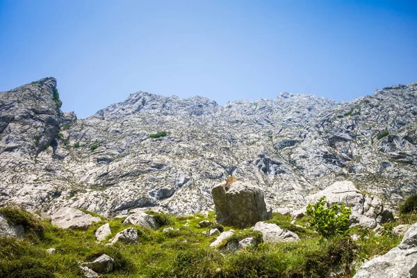 Paisagem Montanhosa Torno Aldeia Bulnes Picos Europa Astúrias Espanha — Fotografia de Stock
