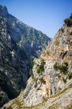 Picos de Europa Kanyonu, Asturias, İspanya 'da bakım yolu - ruta del Cares
