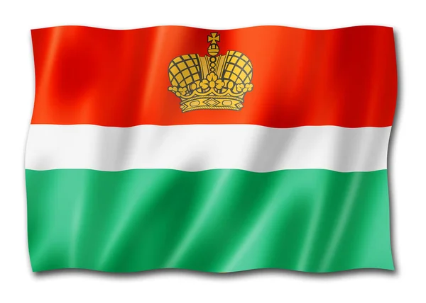 Kaluga Állam Oblast Zászló Oroszország Lobogtató Banner Gyűjtemény Illusztráció — Stock Fotó