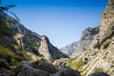 İspanya, Asturias, Picos de Europa 'daki Bulnes köyü çevresindeki dağ manzarası