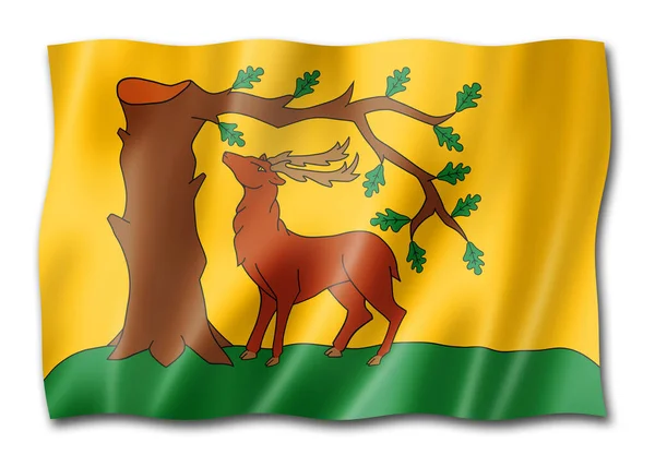 Berkshire County Flag United Kingdom Waving Banner Collection Illustration — Stock Photo, Image