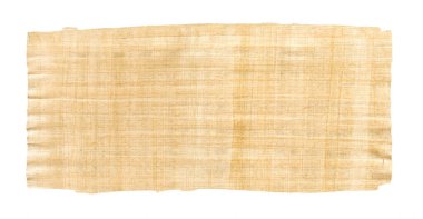 Old brown papyrus texture isolated on white background. Banner wallpaper clipart