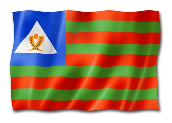 Bubis Etnikai Zászló Afrika Illusztráció — Stock Fotó