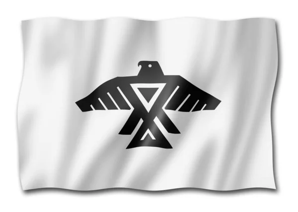Bandera Étnica Del Pueblo Anishinaabe Canadá Ilustración — Foto de Stock