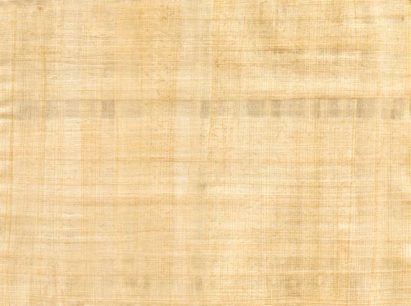 Old Brown Papyrus Background Texture Vintage Wallpaper — Stock Photo, Image