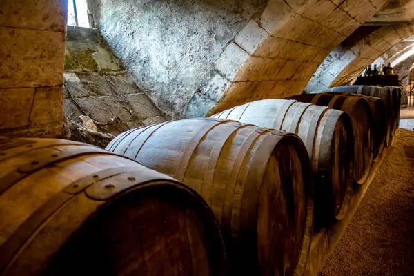 Old wood barrels in a rustic wine cellar