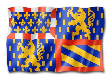 Bourgogne-Franche-Comte Bölgesi bayrağı, Fransa 'da pankart koleksiyonu. 3B illüstrasyon