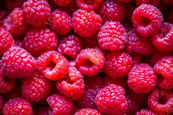 Fresh Organic Raspberries Closeup View Background Wallpaper — Stock Photo, Image