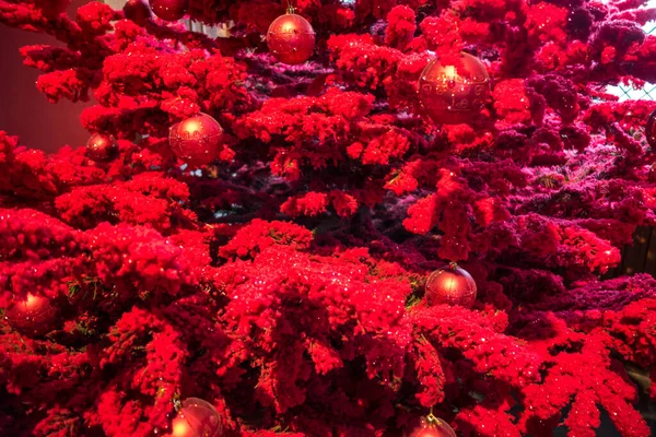 Vánoční Stromeček Pozadí Červenými Ozdobami Detailní Pohled Royalty Free Stock Fotografie