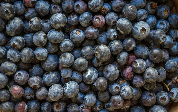 Fresh Organic Blueberries Closeup View Background Wallpaper Stock Image