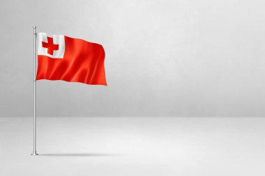 Tonga bayrağı, 3 boyutlu illüstrasyon, beyaz beton arka planda izole edilmiş.