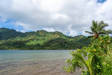 Palmiyeler ve hindistan cevizi ağaçlarıyla dolu bereketli kıyı şeridi ve Tahaa Adası, Fransız Polinezyası 'nın arka planında dağlar.