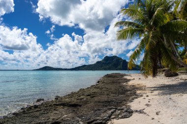 Palmiye ağaçlarıyla kaplı el değmemiş bir sahilden Maupiti Adası 'nın göz kamaştırıcı manzarası Fransız Polinezyası' nda turkuaz suları ve yemyeşil bir manzara sunuyor.