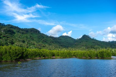 Tahaa Adası kıyısındaki yemyeşil mangrov ekosistemi çeşitli vahşi yaşam için doğal bir yaşam alanı sağlar ve kıyı şeridini korur.