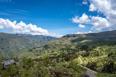 Cusco ve Waqrapukara arasındaki And Dağları 'nın nefes kesen manzarası, yemyeşil vadiler, dolambaçlı yollar, ve parlak bir gökyüzü altındaki kır çiçekleri.