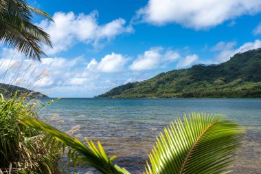 Palmiyeler ve hindistan cevizi ağaçlarıyla dolu bereketli kıyı şeridi ve Tahaa Adası, Fransız Polinezyası 'nın arka planında dağlar.