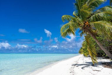 Maupiti 'de el değmemiş beyaz bir kumsal, Fransız Polinezyası, yemyeşil hindistan cevizi ağaçlarıyla kaplı ve turkuaz bir göle bakan, huzurlu ve tropikal bir cennet yaratıyor.