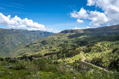 Cusco ve Waqrapukara arasındaki And Dağları 'nın nefes kesen manzarası, yemyeşil vadiler, dolambaçlı yollar, ve parlak bir gökyüzü altındaki kır çiçekleri.