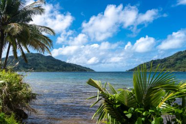 Palmiyeler ve hindistan cevizi ağaçlarıyla dolu bereketli kıyı şeridi ve Tahaa Adası, Fransız Polinezyası 'nın arka planında dağlar.