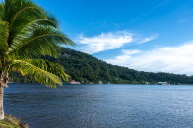 Palmiyeler ve hindistan cevizi ağaçlarıyla dolu bereketli kıyı şeridi ve Tahaa Adası, Fransız Polinezyası 'nın arka planında dağlar.