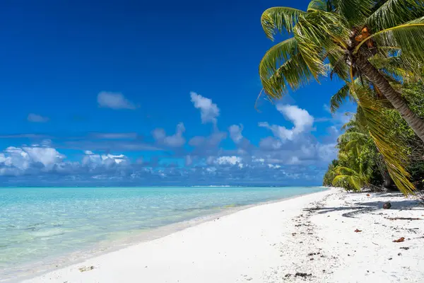 Maupiti 'de el değmemiş beyaz bir kumsal, Fransız Polinezyası, yemyeşil hindistan cevizi ağaçlarıyla kaplı ve turkuaz bir göle bakan, huzurlu ve tropikal bir cennet yaratıyor.