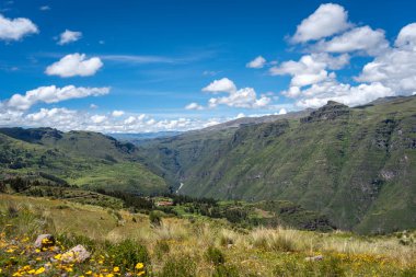 Cusco ve Waqrapukara arasındaki And Dağları 'nın nefes kesen manzarası, yemyeşil vadiler, dolambaçlı yollar, ve parlak bir gökyüzü altındaki kır çiçekleri.