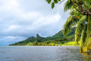 Golden Gate Sahili 'nin kumlu kıyısı Pasifik Okyanusu' yla kesişiyor. Açık mavi gökyüzünün altında San Francisco ufuk çizgisi görünüyor.