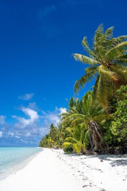 Maupiti 'de el değmemiş beyaz bir kumsal, Fransız Polinezyası, yemyeşil hindistan cevizi ağaçlarıyla kaplı ve turkuaz bir göle bakan, huzurlu ve tropikal bir cennet yaratıyor.