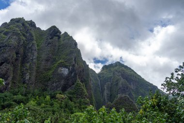 Vaipo şelalesi Hakaui Vadisi, Nuku Hiva, Fransız Polinezyası 'ndaki yüksek uçurumlardan aşağı akar. Yeşil ormanlarla çevrili bu uzak doğa harikası Marquesas Adaları 'ndaki en yüksek şelaledir.