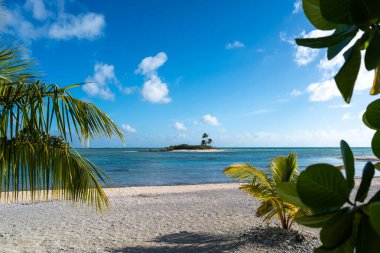 Tikehau, Fransız Polinezyası 'ndaki kumlu bir sahilden görülen turkuaz sularla çevrili sakin bir motu. Bereketli palmiye ağaçları tropik cenneti çevreleyecek.