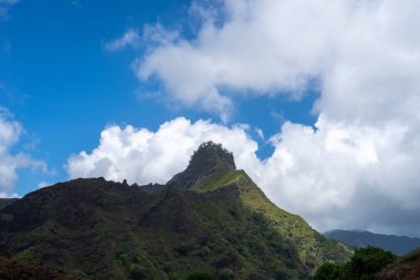 Hiva Oa, Marquesas Adaları, Fransız Polinezyası 'ndaki Puamau yolu boyunca uzanan dağlık arazi engebeli zirveleri ve derin vadileriyle yoğun tropikal bitki örtüsüyle kaplıdır.
